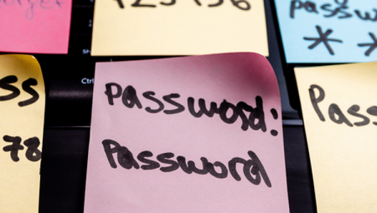 Weak Passwords