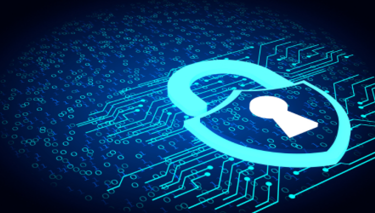 Webinar Maverik Data Privacy